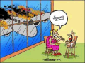 Vignetta13
