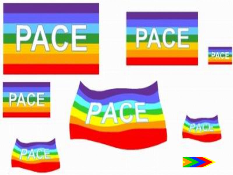 Vai alla sezione PPS SERI