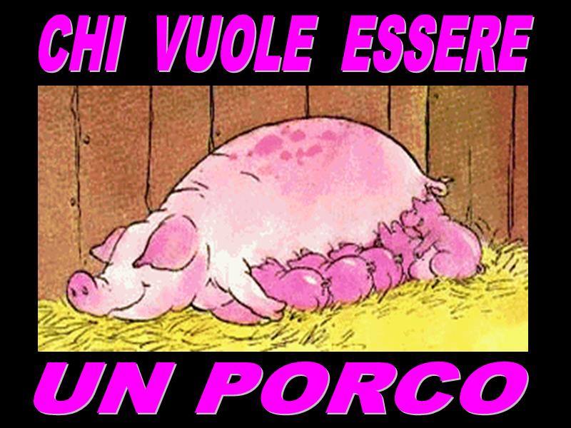 Vai alla sezione PPS SEXY