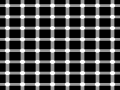 Griglia scintillante:nelle intersezioni delle linee bianche  possibile osservare delle macchie grigie in continuo cambiamento.