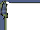 esegui il download