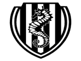 Logo AC Cesena
