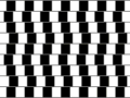 Illusione delle piastrelle: le linee grigie sembrano oblique, invece sono perfettamente parallele tra loro.
