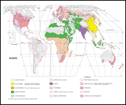 Mappa Religioni nel Mondo